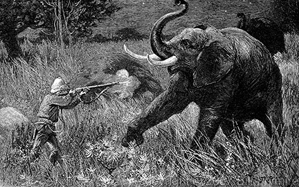 George Orwell’s Shooting an Elephant: a Summary and Reflection